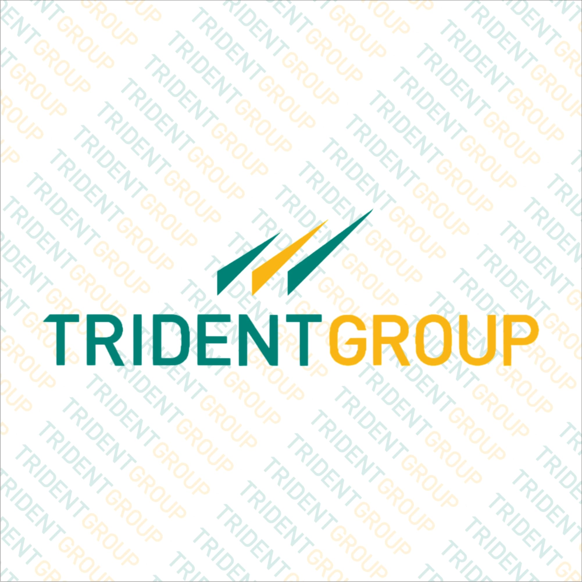 Trident Ltd